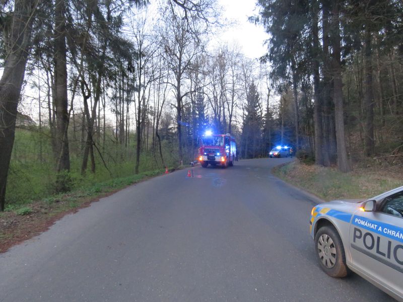 DN Š Felicia 1