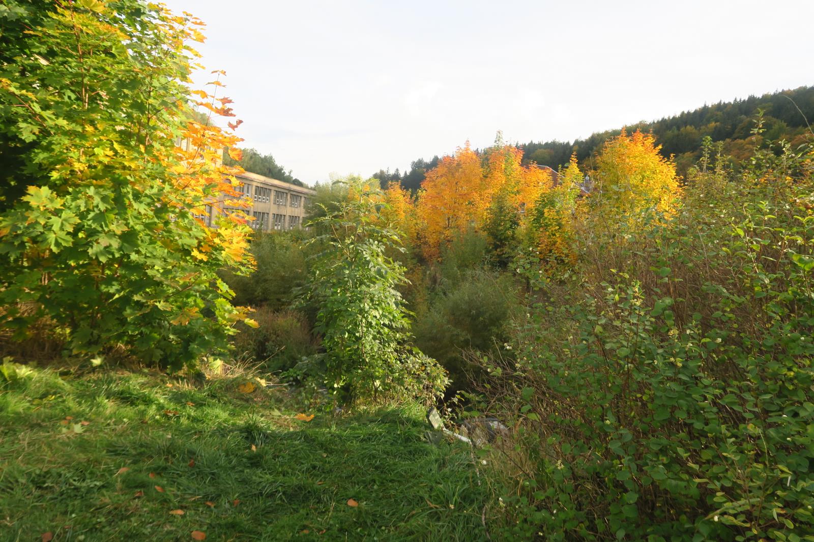 DN Tanvald (1)