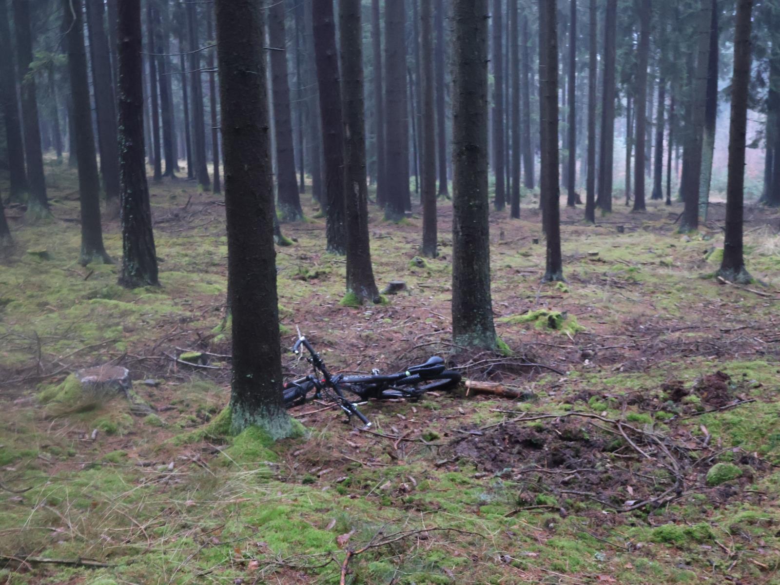 DN cyklista.jpg