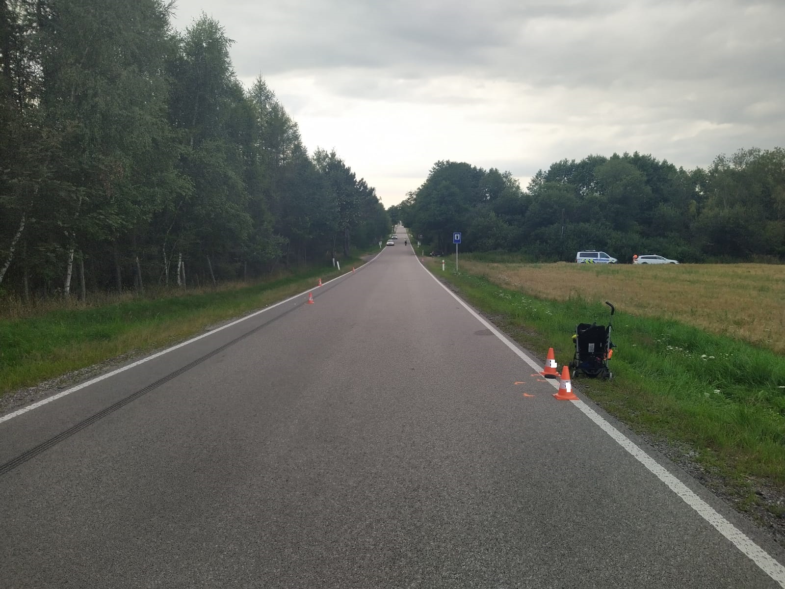 DN s LZ u Nové Bystřice 1.