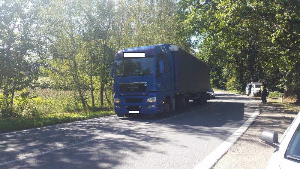 DN u Třeboně III.