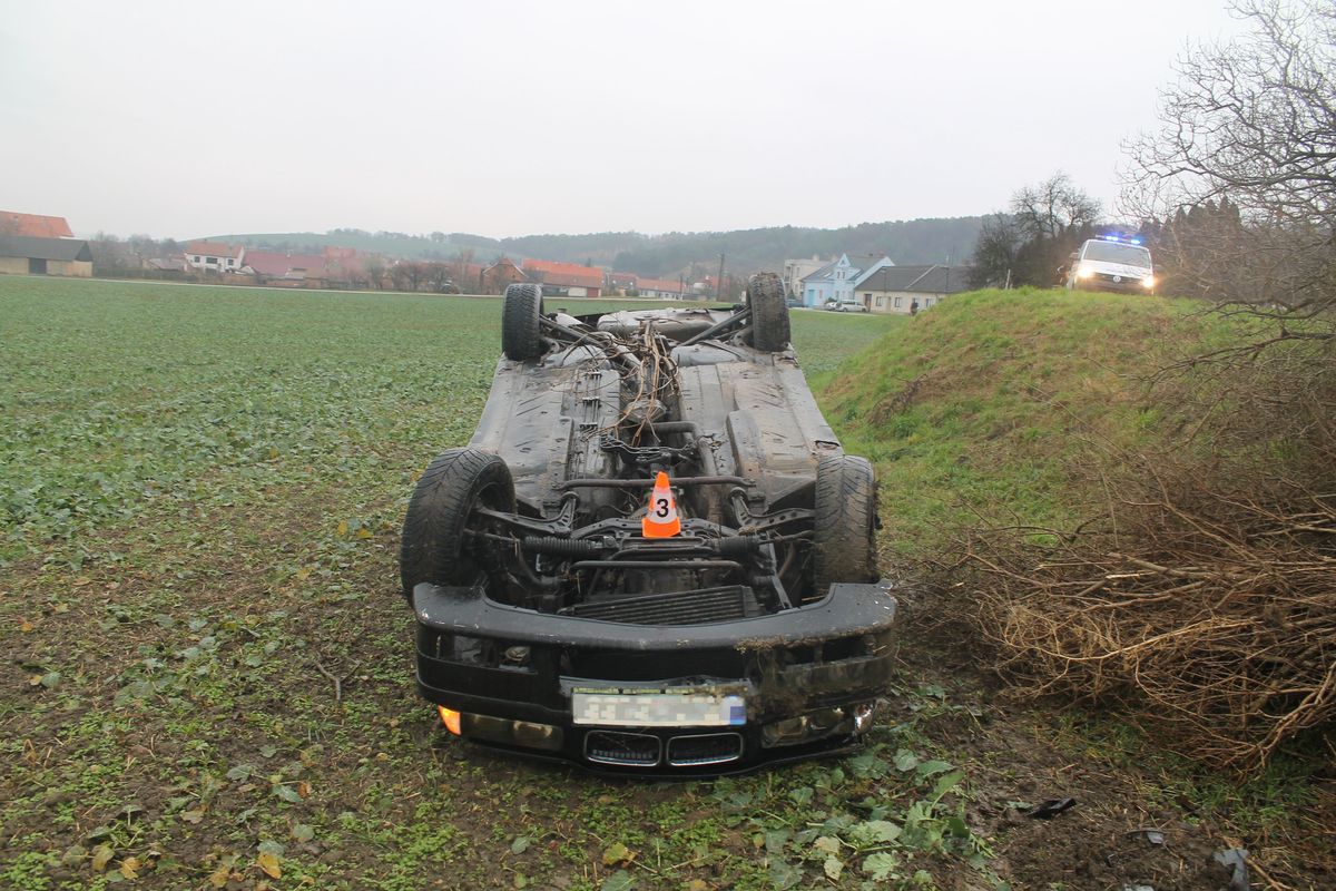 DN3.JPG