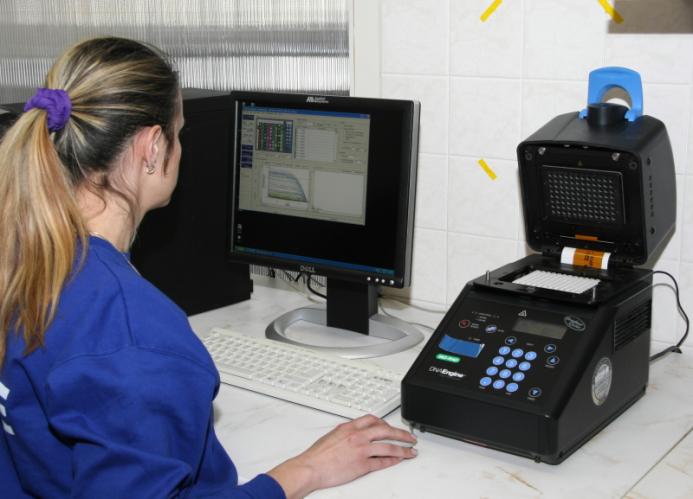 DNA 6_4_2011 zjišťování množství DNA.jpg