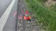 DN_Holubice  (5)