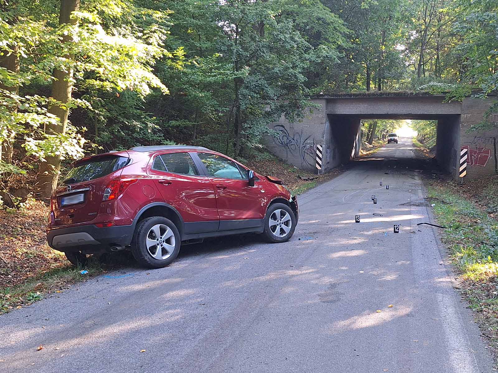 DN_Opel_4.jpg