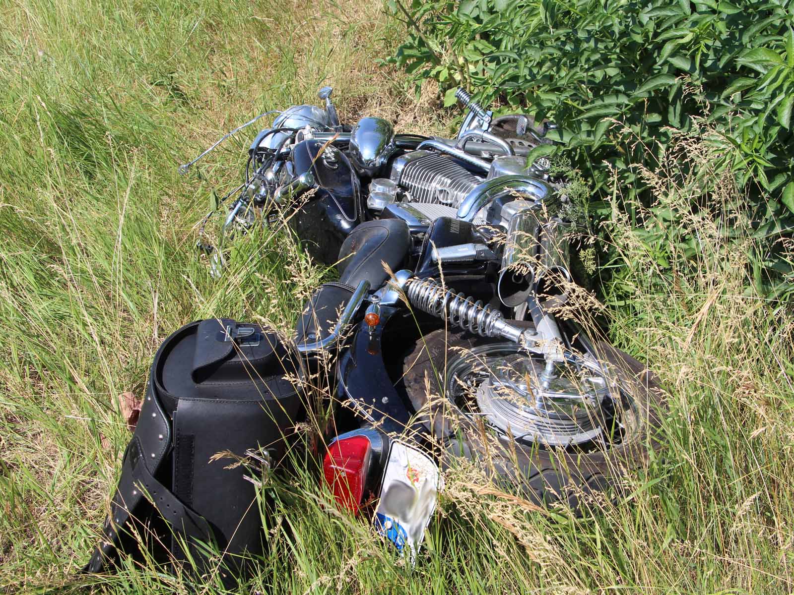 DN_moto_1.jpg