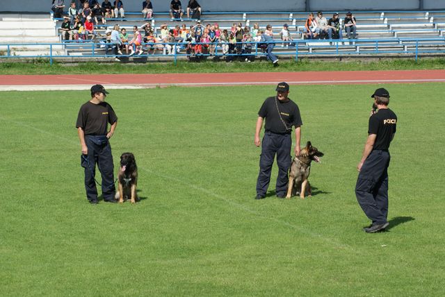DSC00286.JPG