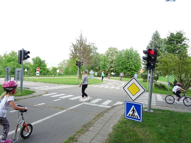DSC03100.JPG