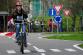 DSC_1906