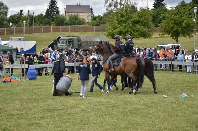 Den IZS 2015