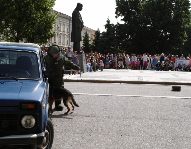 Den Policie
