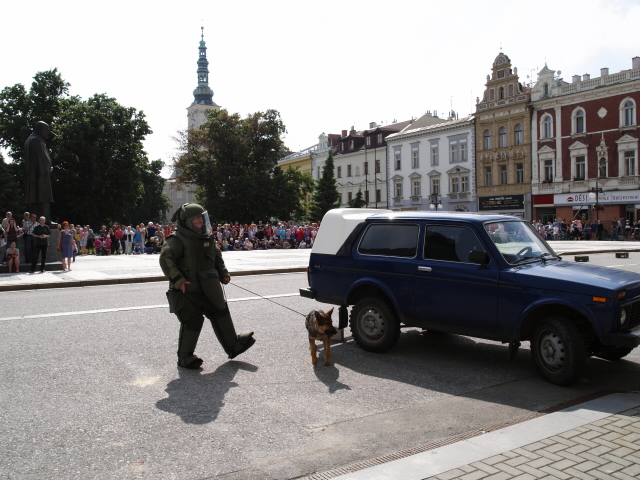 Den Policie