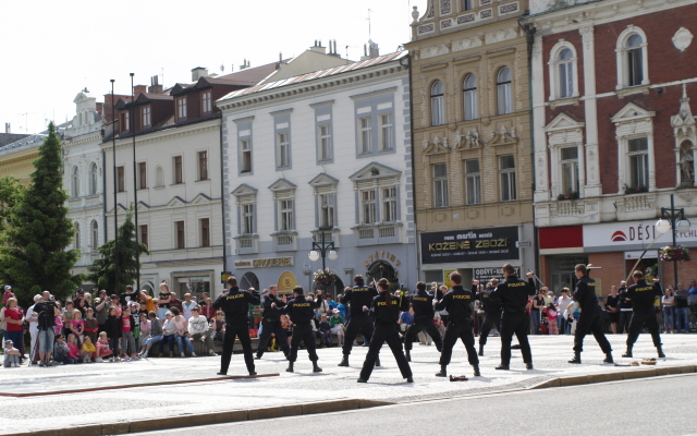 Den Policie