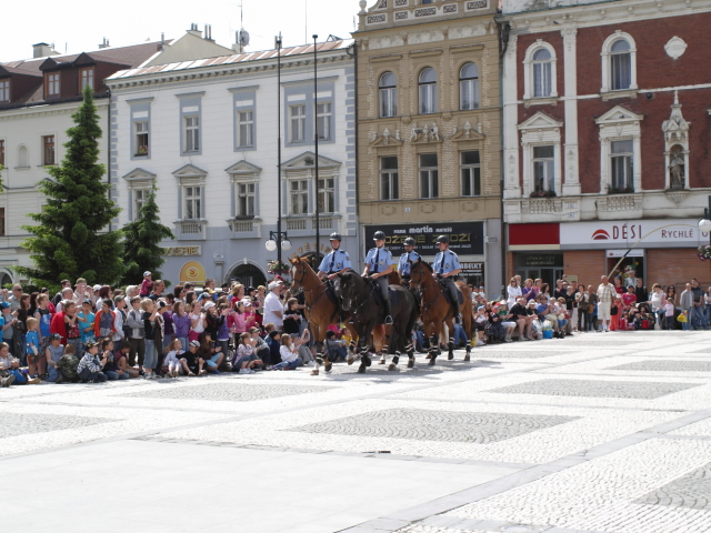 Den Policie