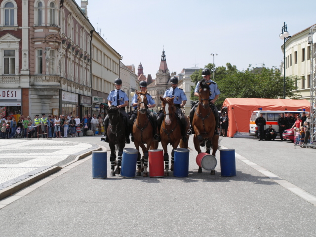 Den Policie