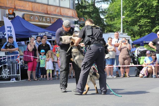 Den Policie ČR