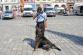 Den Policie ČR v Olomouci