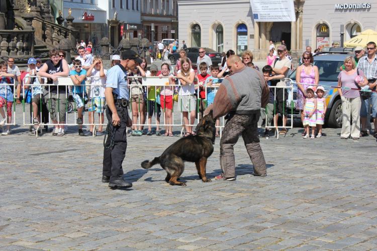 Den Policie ČR v Olomouci
