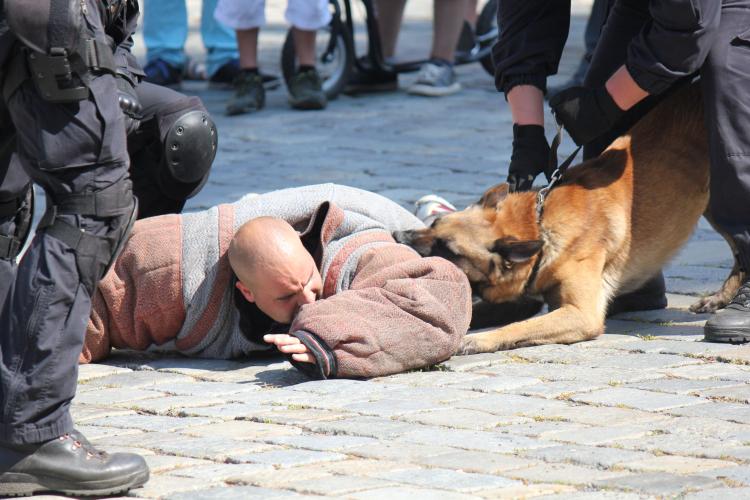 Den Policie ČR v Olomouci