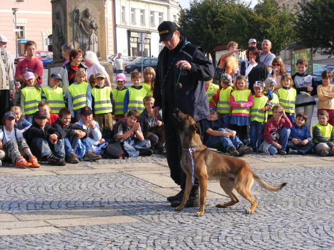 Den bez aut v Pacově 014.jpg