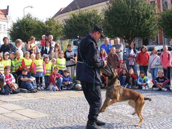 Den bez aut v Pacově 015.jpg