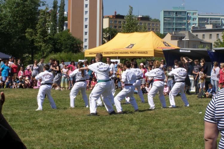 Den bezpečí a pořádku 2011