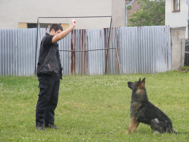 Den dětí ZŠ Košice  1. 6. 2011 - 04.jpg