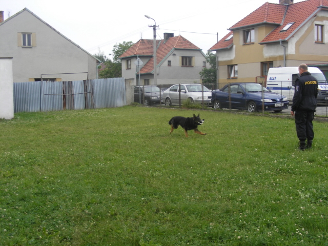 Den dětí ZŠ Košice  1. 6. 2011 - 05.jpg