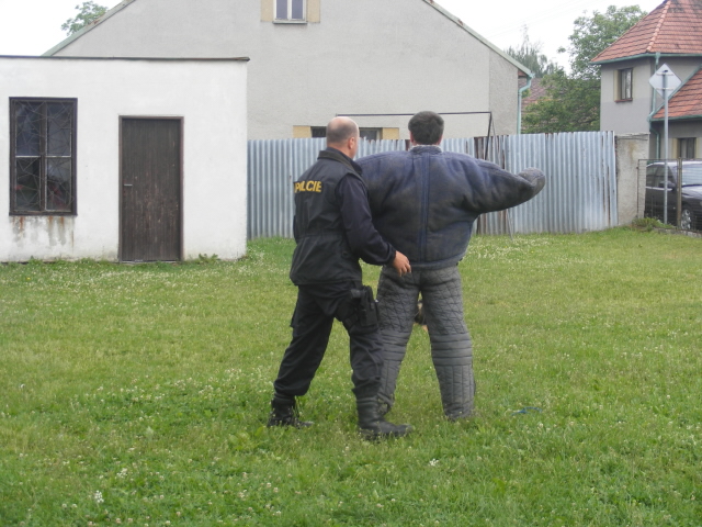 Den dětí ZŠ Košice  1. 6. 2011 - 06.jpg