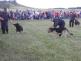 Den dětí na letišti 41