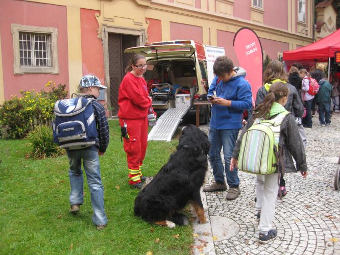 Den mobility 04
