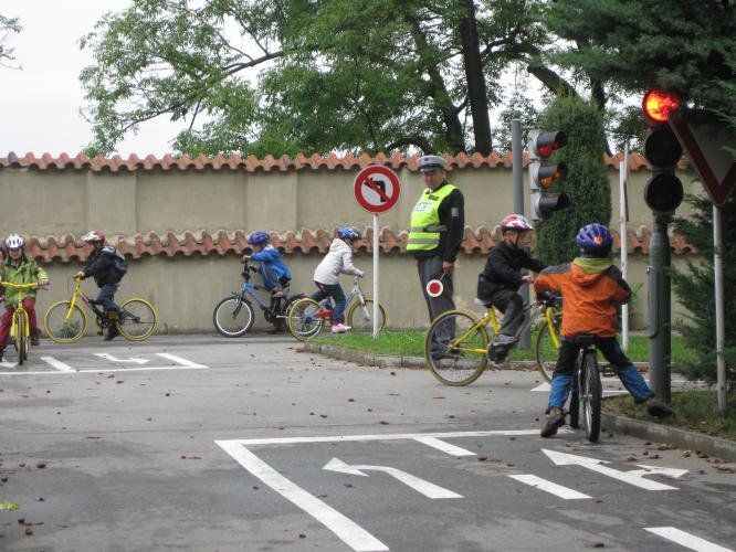 Den mobility 07