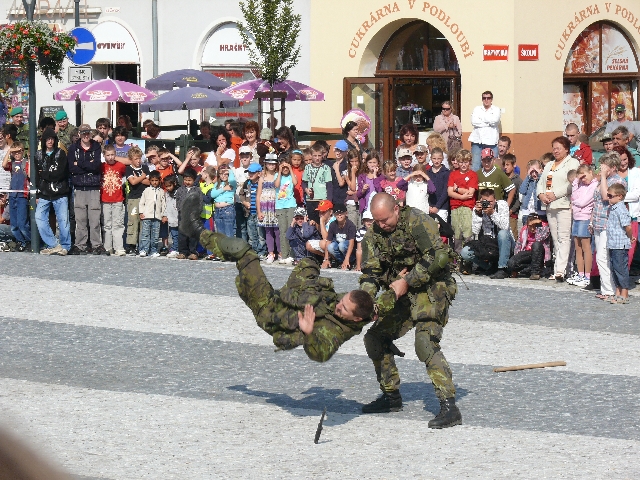 Den s IZS 2.9.2011