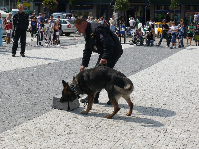 Den s IZS 2.9.2011