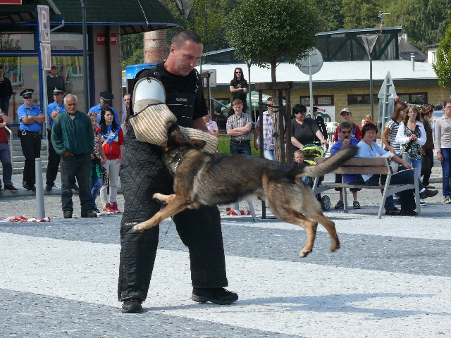Den s IZS 2.9.2011