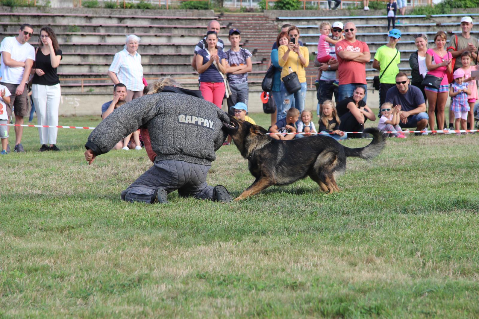 Den s Policií ČR 5