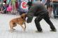 Den_policie_2013 070