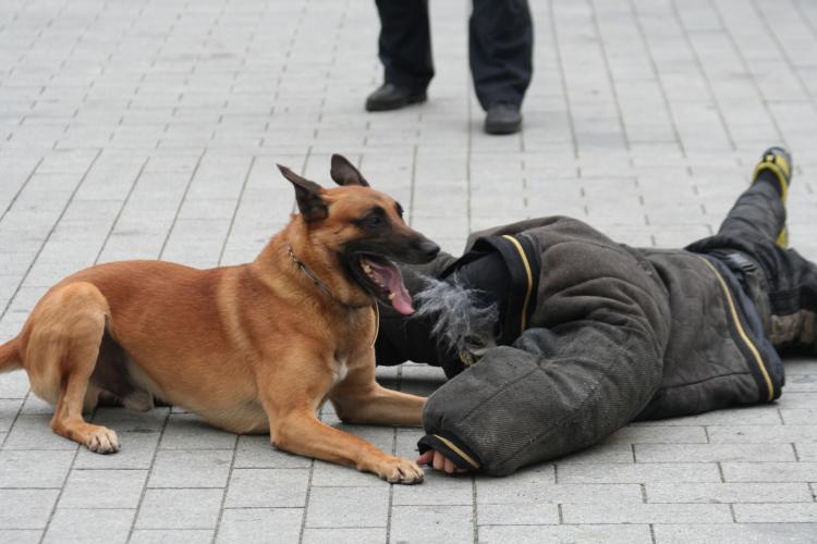 Den_policie_2013 076.JPG