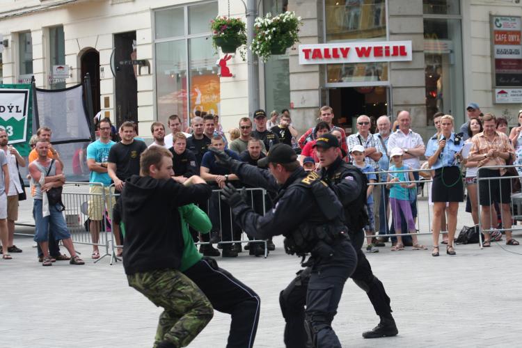 Den_policie_2013 227.JPG