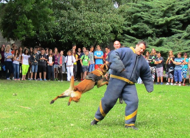 Do života bez karambolů