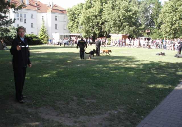 Do života bez karambolů 2011 
