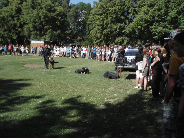 Do života bez karambolů 2011 