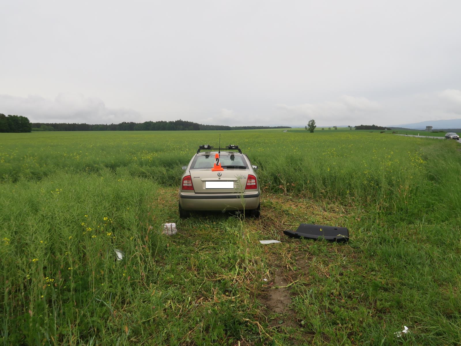 Dopravní nehoda - Borovice - 23.05.2020