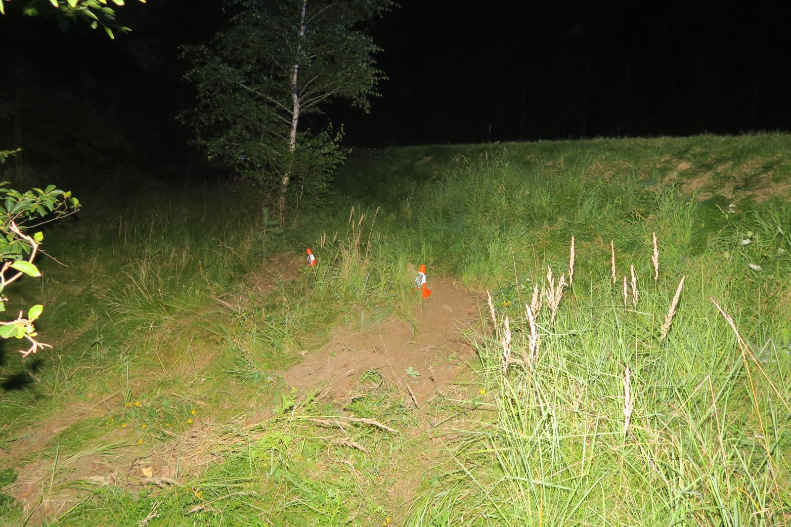 Dopravní nehoda - Holýšov - 17.08.2021