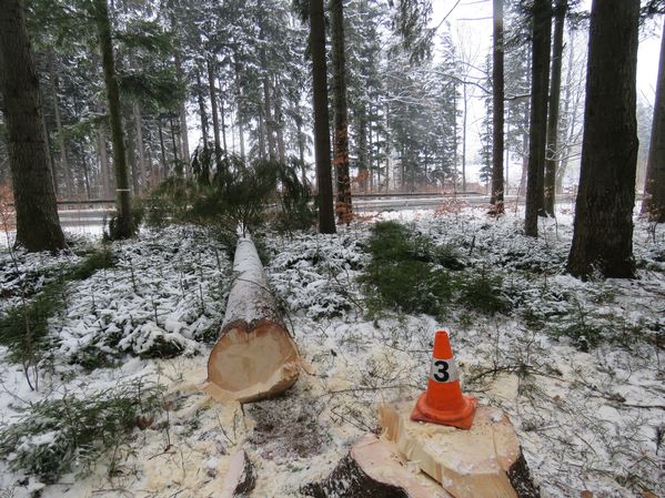 Dopravní nehody z pátku 9.2.2018