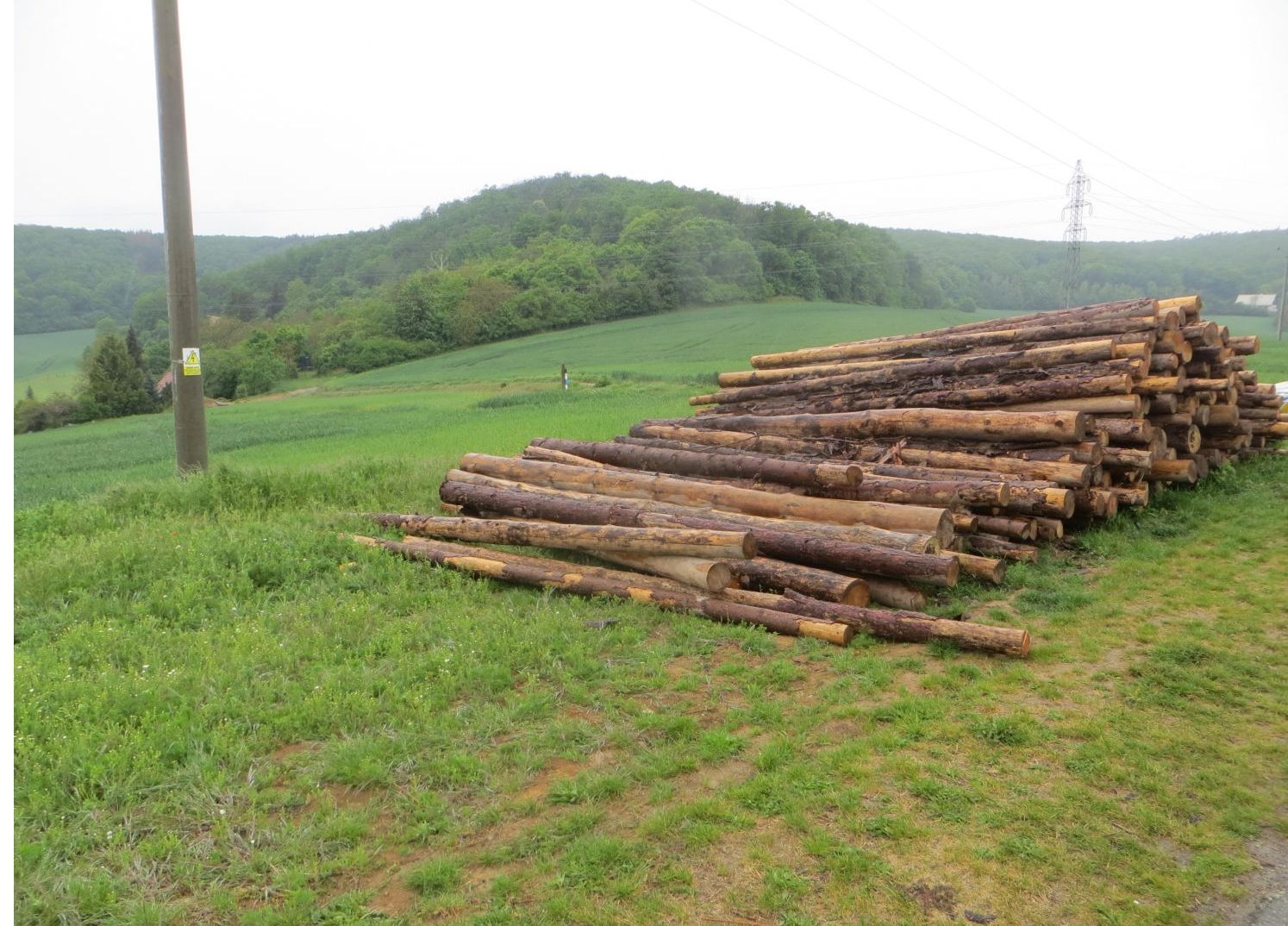 Dřevo1.jpg