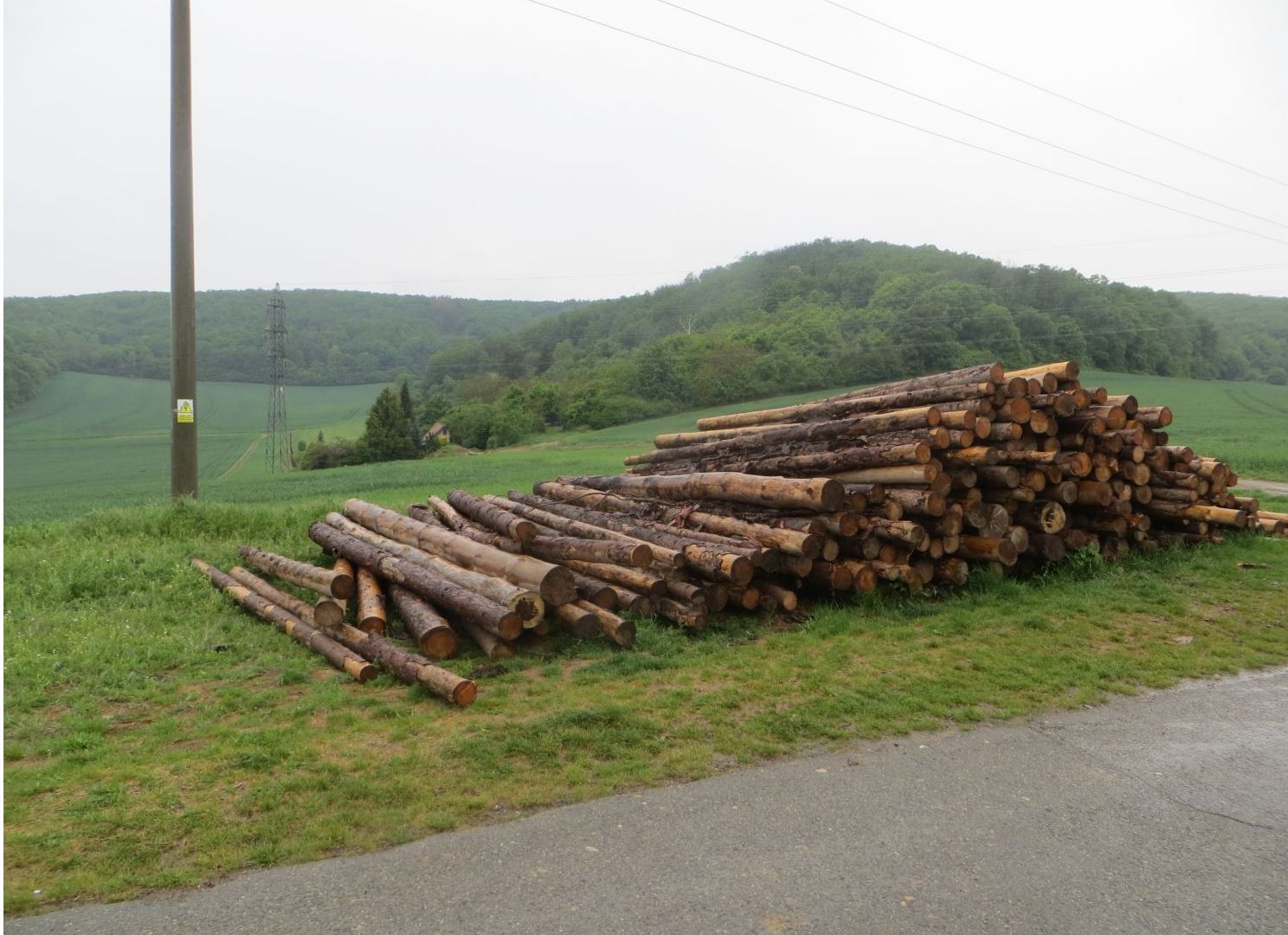 Dřevo2.jpg
