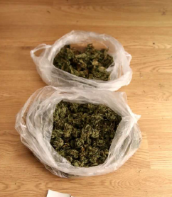 Drogový dealer zadržen