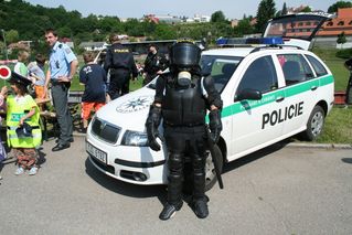DsPCR5.jpg