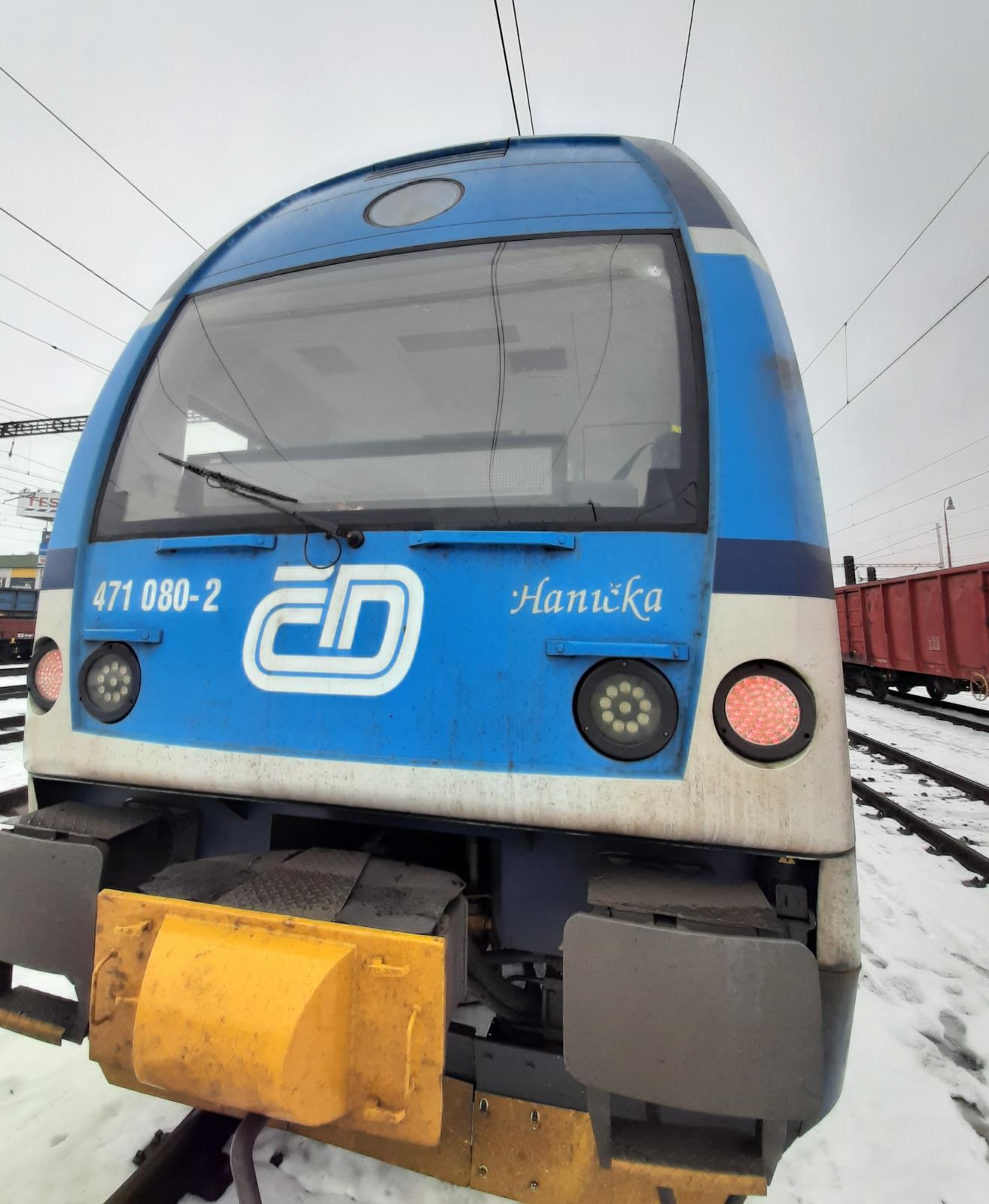 Elefant1.jpg